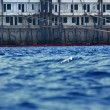 Costa Concordia: la scritta riemerge sulla fiancata della nave FOTO 2