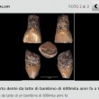 Isernia, ritrovato dente da latte di 600mila anni fa: il più antico mai scoperto