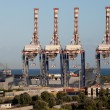 Armi chimiche Siria, al porto di Gioia Tauro arriva la nave Cape Ray08