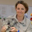 Koala viaggia 90 km appeso ad un'auto. I veterinari: "Solo un'unghia spezzata01