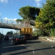 Roma, ponte crolla su camion 3