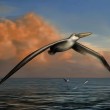 Pelagornis sandersi, uccello gigante: 7m apertura alare, visse 28mln di anni 2