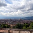 Will Smith, selfie con la Torre di Pisa e foto panoramica di Firenze01