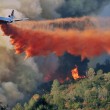 Usa: incendi in California, evacuate 1500 persone 15