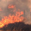 Usa: incendi in California, evacuate 1500 persone 14