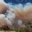 Usa: incendi in California, evacuate 1500 persone 08
