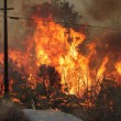 Usa: incendi in California, evacuate 1500 persone 04