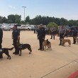 Usa, il funerale cane poliziotto09