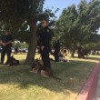 Usa, il funerale cane poliziotto08