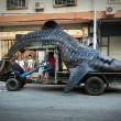 Cina, squalo balena sul carretto: pesa 2 tonnellate, lungo 5 metri