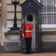 Piroette e danze: la guardia di Buckingham Palace fa divertire i turisti VIDEO-FOTO