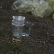 Rumeno ubriaco ucciso in un parco a Roma frequentato da mamme e bambini06