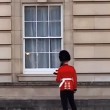 Piroette e danze: la guardia di Buckingham Palace fa divertire i turisti VIDEO-FOTO 3
