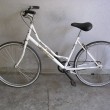 Bergamo, ritrovate 8 biciclette rubate, Procura pubblica foto07