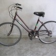Bergamo, ritrovate 8 biciclette rubate, Procura pubblica foto03