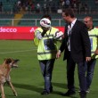 Palermo-Sampdoria, cane entra in campo a fine match 02