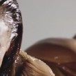 Jennifer Lopez e Iggy Azalea hot nel video Booty: olio su lato b, calze a rete 6