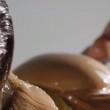 Dagospia: la "milf" Jennifer Lopez ha lato b più tonico di iggy azalea 16