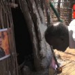 Kyenge, contro-macumba in Congo per liberare Calderol02