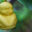 Pere a forma di Buddha: l'idea di un allevatore cinese02