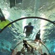 piscina profonda Italia Misura 40 metri acque termali 01