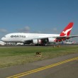 L'aereo della Qantas più grande del mondo,02