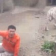 India. Scavalca il recinto della tigre allo zoo: ucciso a morsi 3