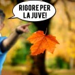 "Rocchi assegna i rigori per la Juve ovunque", pagina Fb sfotte l'arbitro 09