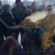 Yuka, il cucciolo di mammut femmina di 38 mila anni fa scoperto in Russia07