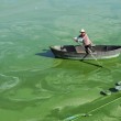 Cina, i fertilizzanti colorano il lago Chaohu di verde: le foto 05