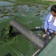 Cina, i fertilizzanti colorano il lago Chaohu di verde: le foto 03