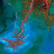 Delta del Fiume Mississippi. La vegetazione appare rossa mentre i sedimenti nell’acqua sono blu e verdi