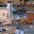 Livorno sciopero netturbini 4