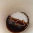 Canada, beve caffe al McDonalds: in fondo alla tazza un topolino morto05