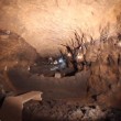 Messico, nel tunnel del Serpente piumato oltre 50mila reperti FOTO-VIDEO 3