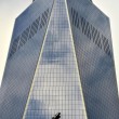 Lavavetri appesi nel vuoto su Freedom Tower al 68esimo piano04