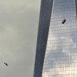 Lavavetri appesi nel vuoto su Freedom Tower al 68esimo piano11