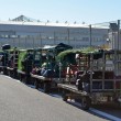 Fiumicino, caos bagagli in aeroporto. La protesta contro licenziamenti Alitalia 03