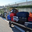 Fiumicino, caos bagagli in aeroporto. La protesta contro licenziamenti Alitalia 04