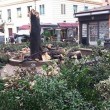 Maltempo Roma, crolla albero simbolo del quartiere all'Alberone04