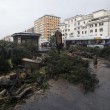 Maltempo Roma, crolla albero simbolo del quartiere all'Alberone09