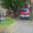 Maltempo Roma, albero cade su palazzo vicino Villa Fiorelli01