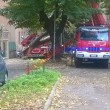 Maltempo Roma, albero cade su palazzo vicino Villa Fiorelli02