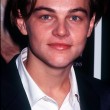 Leonardo DiCaprio compie 40 anni: bello, famoso, ma ancora senza Oscar04