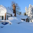 Freddo polare negli Usa: neve sulla costa occidentale, sotto zero Florida e Hawaii08