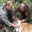 Tigri liberate da Putin fanno strage di capre in Cina 3