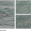 Aereo malese AirAsia: trovati resti nel Mar di Giava FOTO3