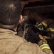 Cane incastrato per 48 nella fessura del pavimento: pompieri lo salvano02