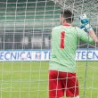 Monza-Torres 3-0, le FOTO. Highlights su Sportube.tv