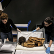 Mummia di donna in posizione fetale: ha mille anni ed i capelli intatti 03
